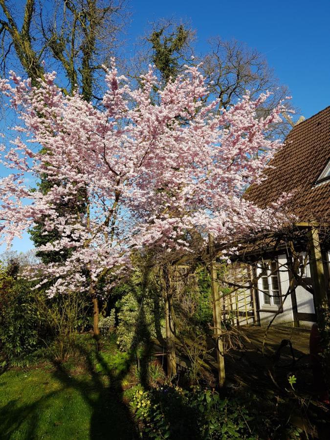Lieblingsplatz Appartement BRE Buitenkant foto